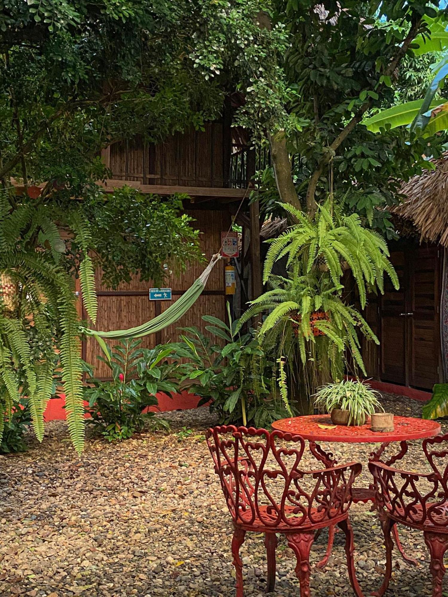 Hostal Zinpar Palomino Ngoại thất bức ảnh